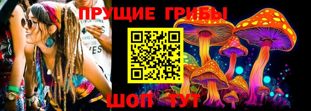 Галлюциногенные грибы мицелий  Вход с VPN  Лиски  Галлюциногенные грибы мицелий 