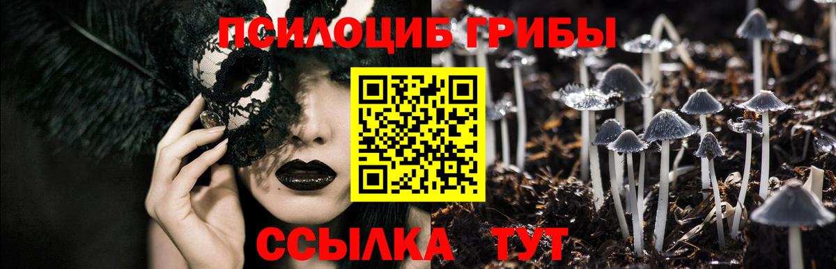 Псилоцибиновые грибы GOLDEN TEACHER Лиски